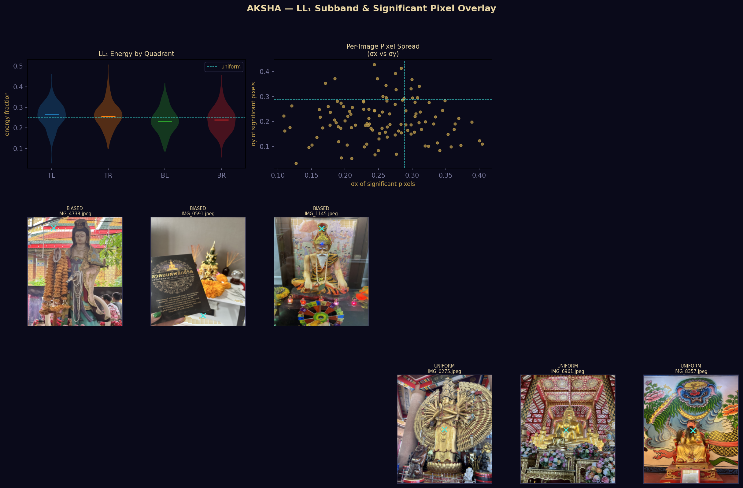 Wavelet energy distribution across six temple images — biased images show concentrated energy, uniform images show even spread